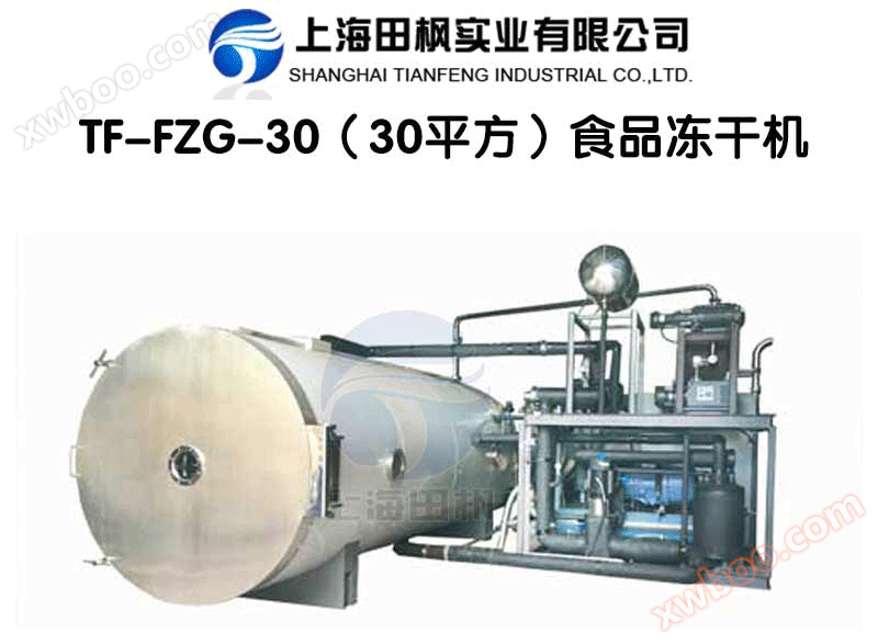田枫TF-FZG-30（30平方）食品冻干机详情图.png