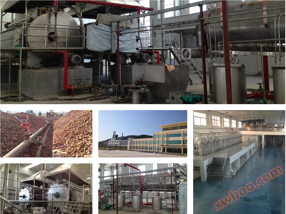 Sweet Potato Starch Complete Equipment