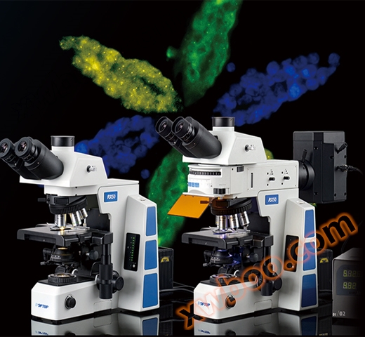 RX50 forskningsnivå Positiv Biomikroskop / fluorescerande mikroskop